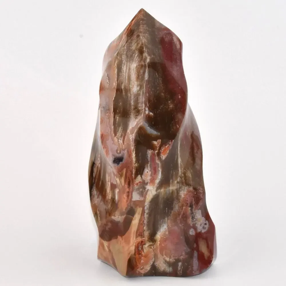Petrified Wood Flame | Stone Fossil Home Decor Art Piece